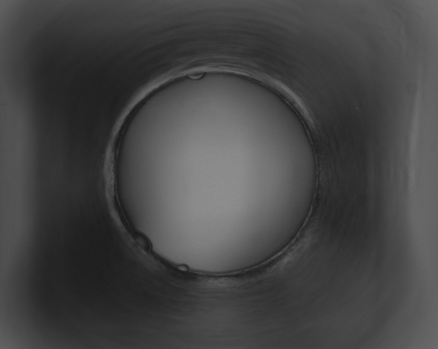 X0000101161522200806270722