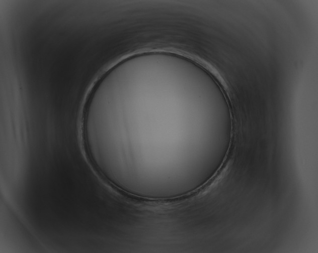 X0000101161525200806270722