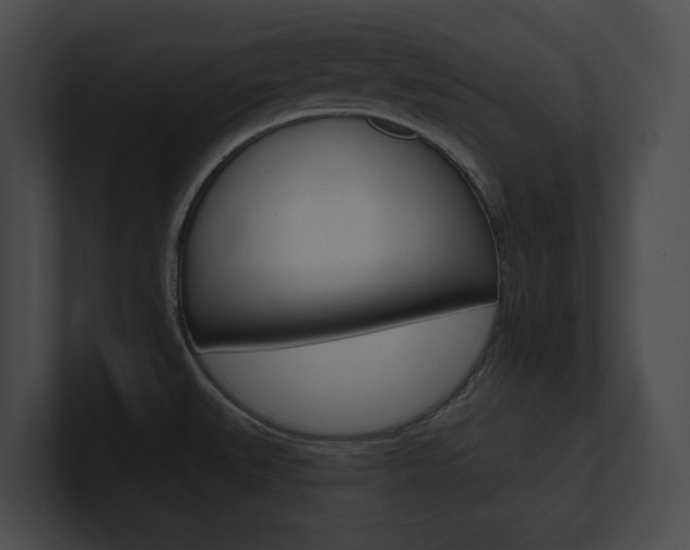 X0000101161527200806270722