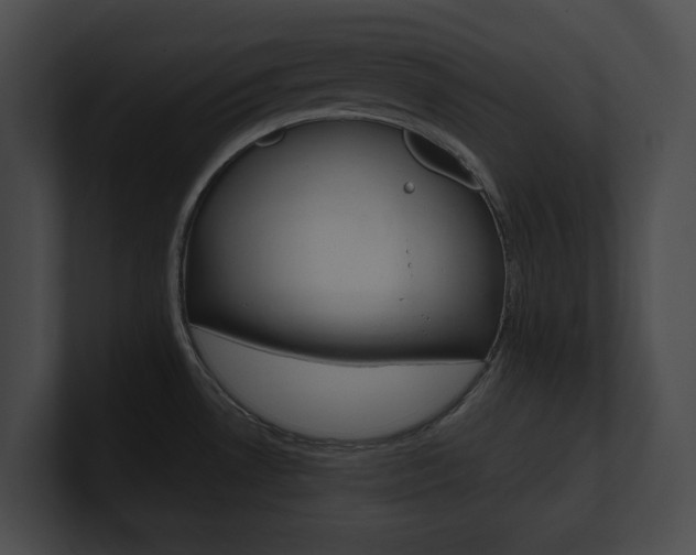 X0000101161530200806270722