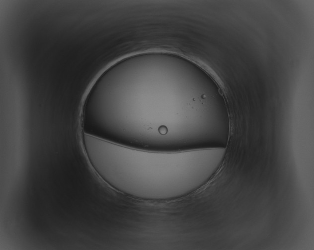 X0000101161532200806270722