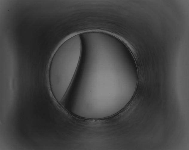 X0000101161534200806270722