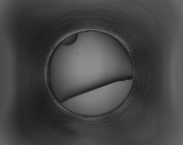 X0000101161535200806270722