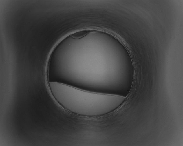 X0000101161536200806270722