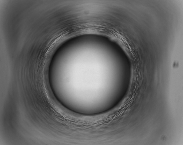 X0000101160001200806271021