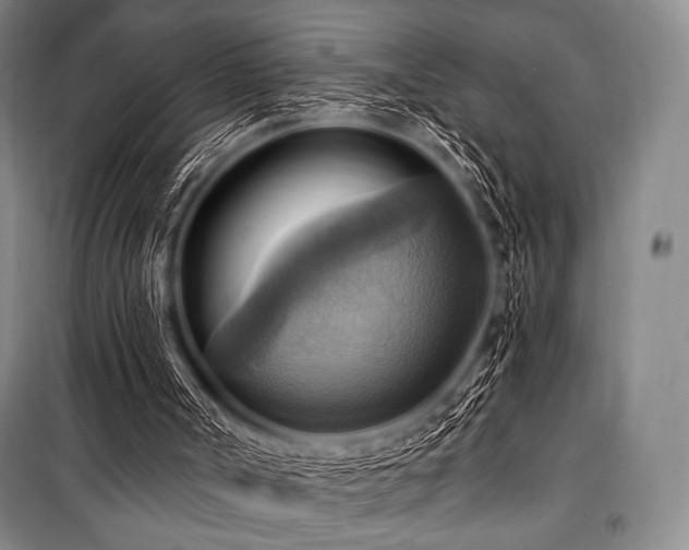 X0000101160002200806271021