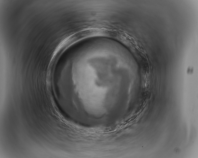 X0000101160004200806271020