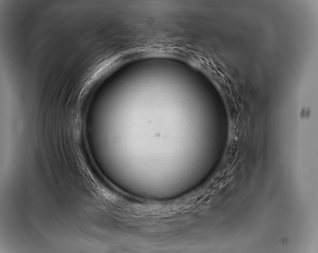 X0000101160005200806271020