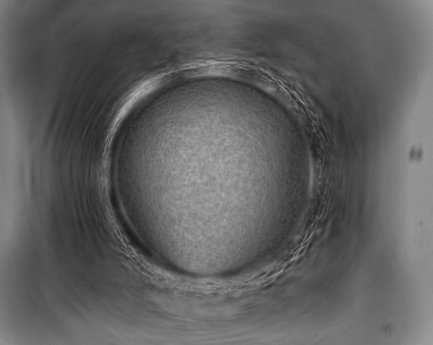 X0000101160006200806271020
