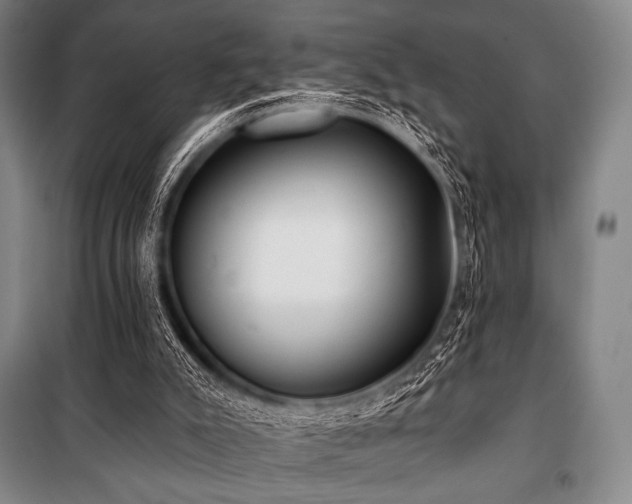 X0000101160007200806271020