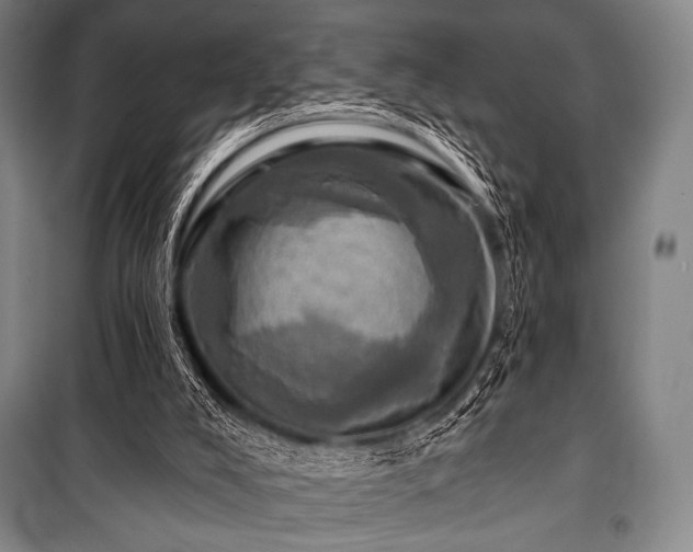 X0000101160008200806271020