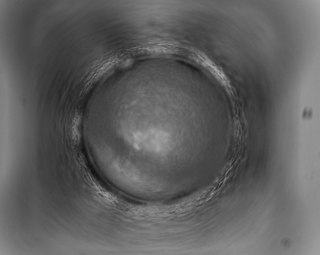 X0000101160009200806271020