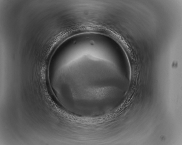 X0000101160010200806271020