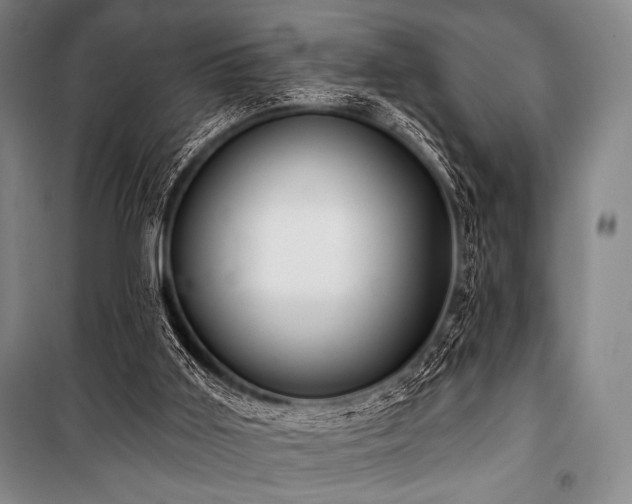 X0000101160011200806271020