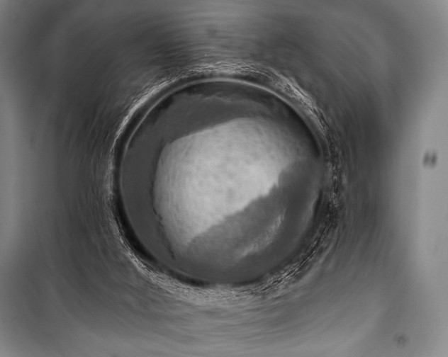 X0000101160012200806271020