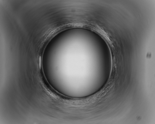 X0000101160013200806271020