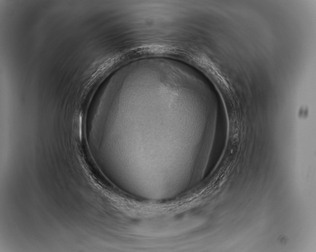 X0000101160014200806271020