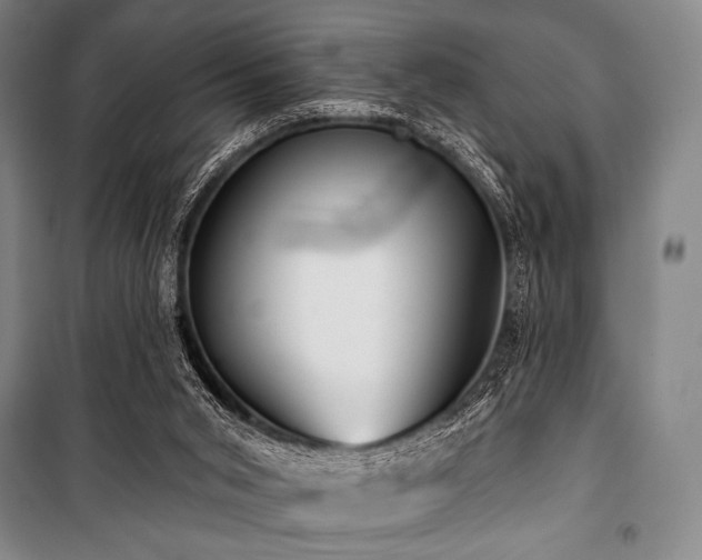 X0000101160015200806271020