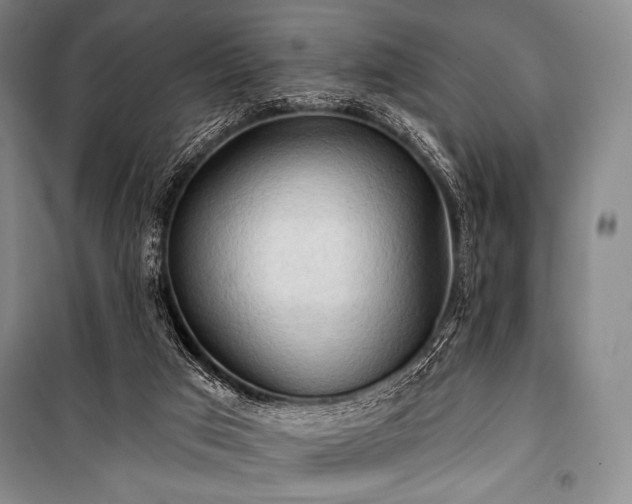 X0000101160017200806271020