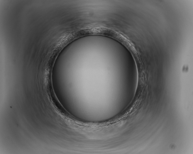 X0000101160018200806271020