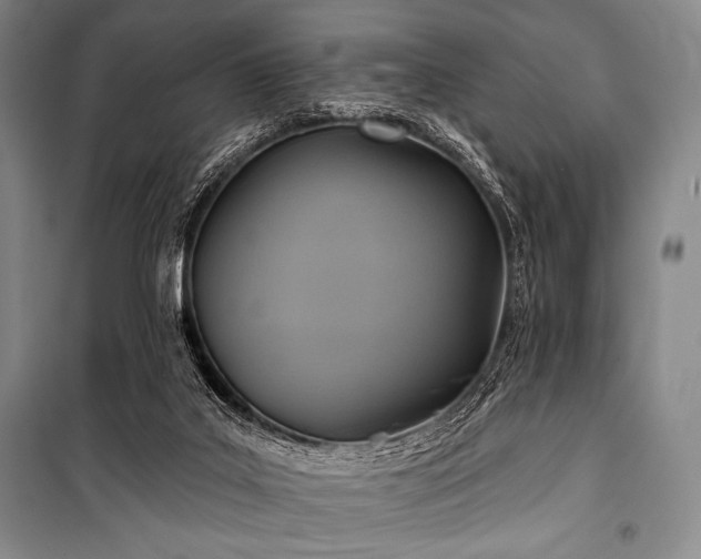 X0000101160019200806271020