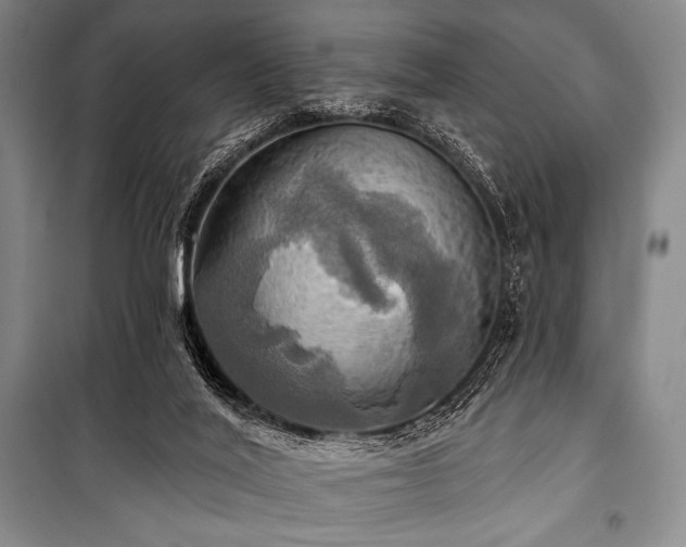 X0000101160020200806271020