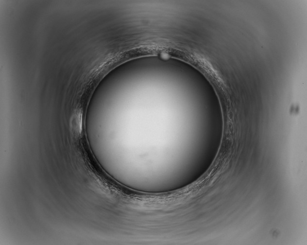 X0000101160021200806271020