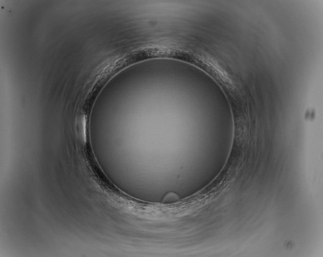 X0000101160022200806271020