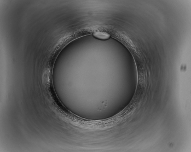 X0000101160023200806271020
