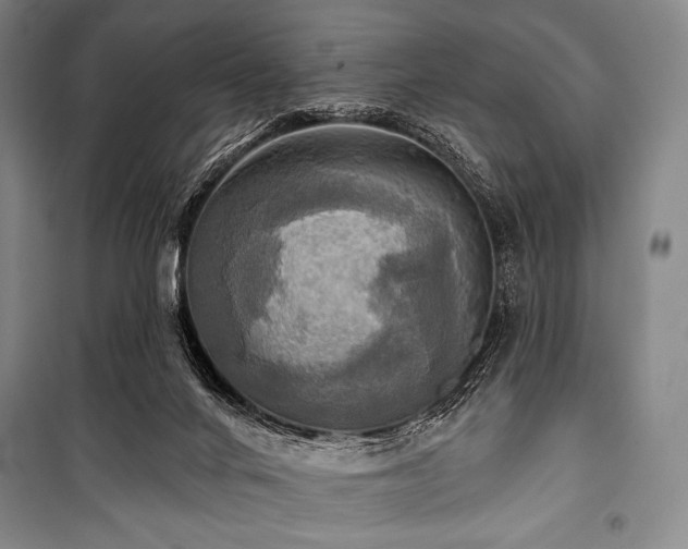 X0000101160024200806271020