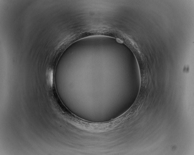 X0000101160027200806271020