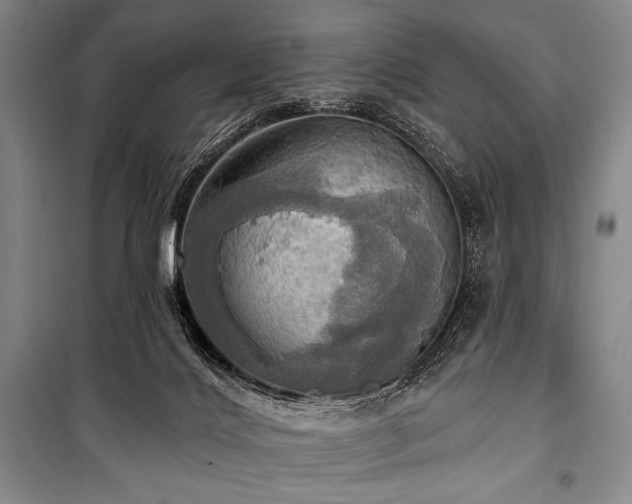 X0000101160028200806271020