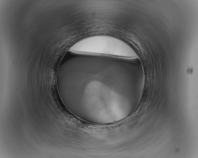 X0000101160029200806271020