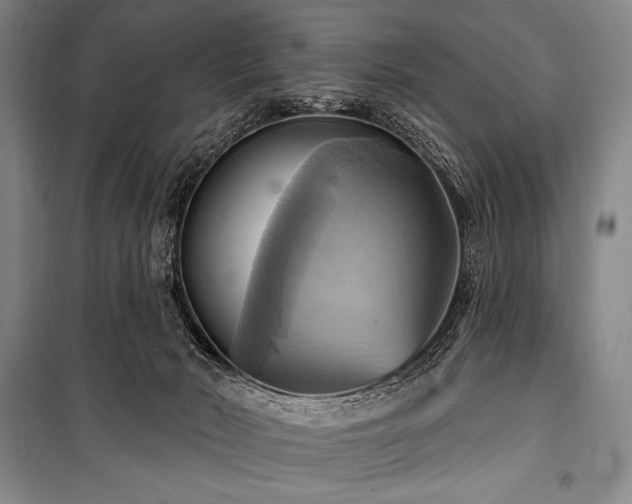 X0000101160030200806271020