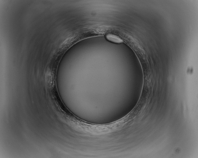 X0000101160031200806271020