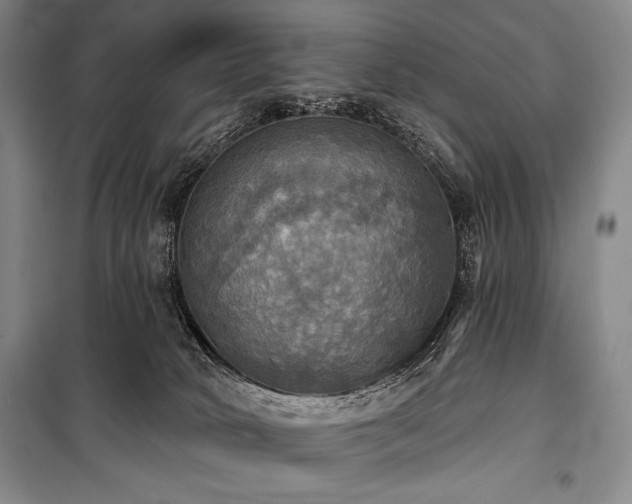 X0000101160034200806271020