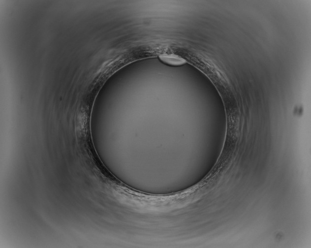 X0000101160035200806271020