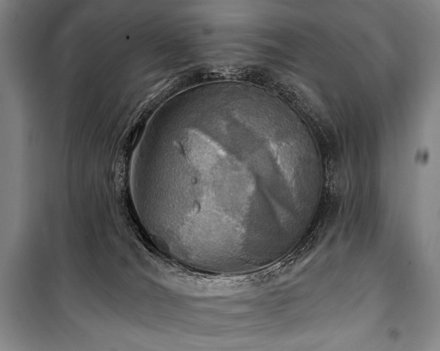 X0000101160036200806271020