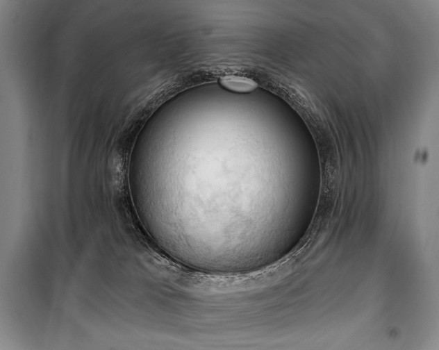 X0000101160037200806271020