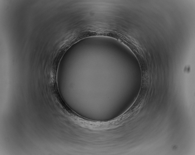 X0000101160039200806271020
