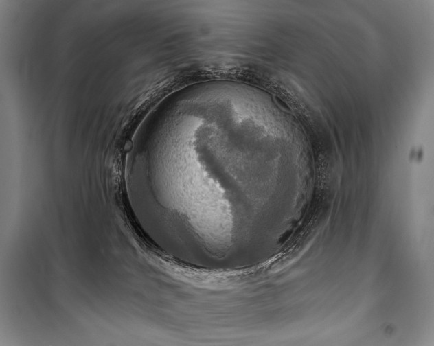 X0000101160040200806271020