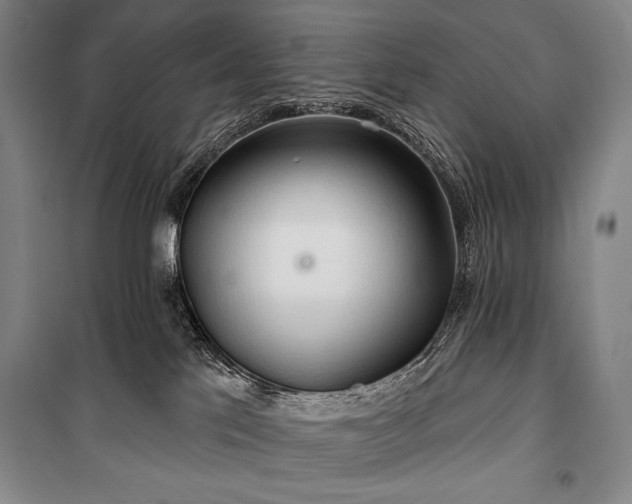 X0000101160041200806271020