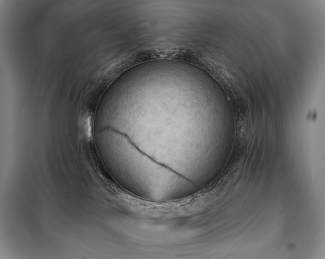 X0000101160042200806271020