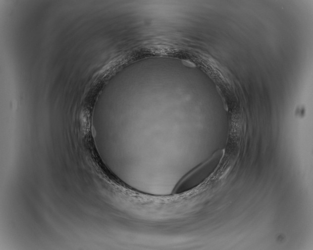 X0000101160043200806271020