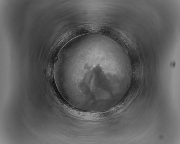 X0000101160044200806271020