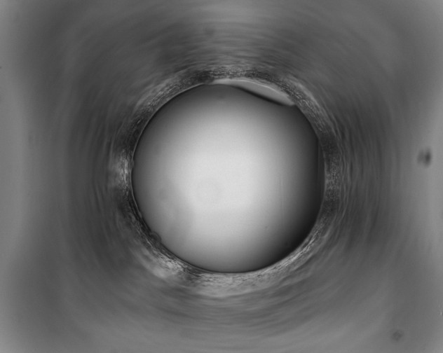 X0000101160045200806271020