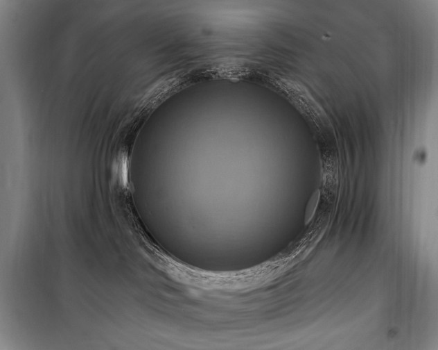 X0000101160046200806271020