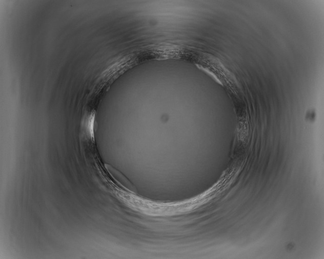 X0000101160047200806271020