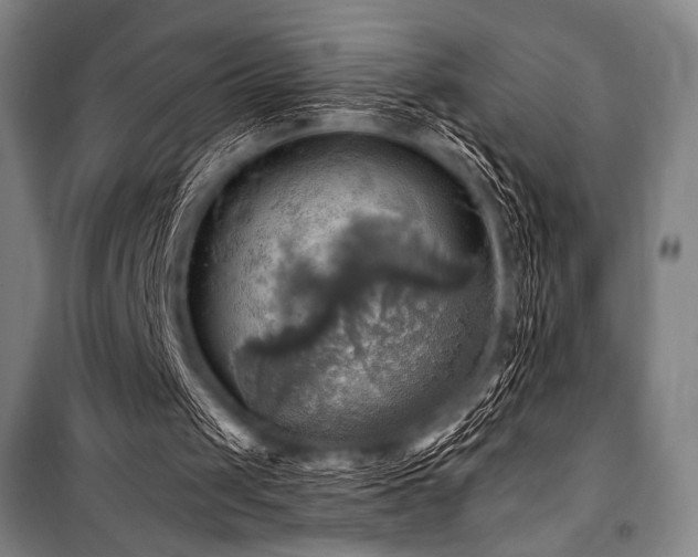 X0000101160049200806271019