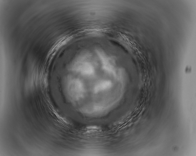 X0000101160050200806271019